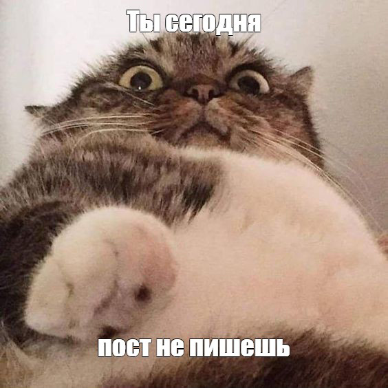 https://upforme.ru/uploads/001b/6d/1f/13/934080.jpg