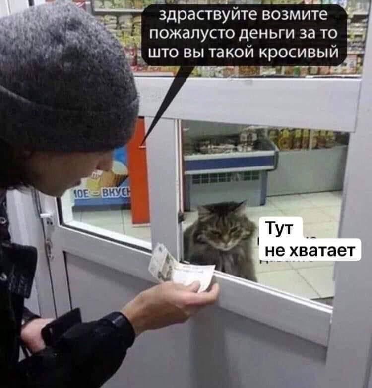 https://upforme.ru/uploads/001b/6d/1f/25/155885.jpg