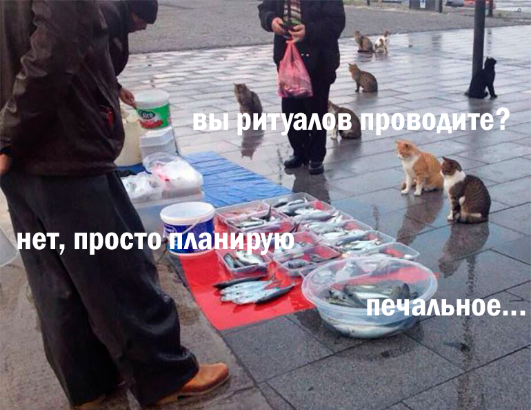 https://upforme.ru/uploads/001b/6d/1f/5/104079.png