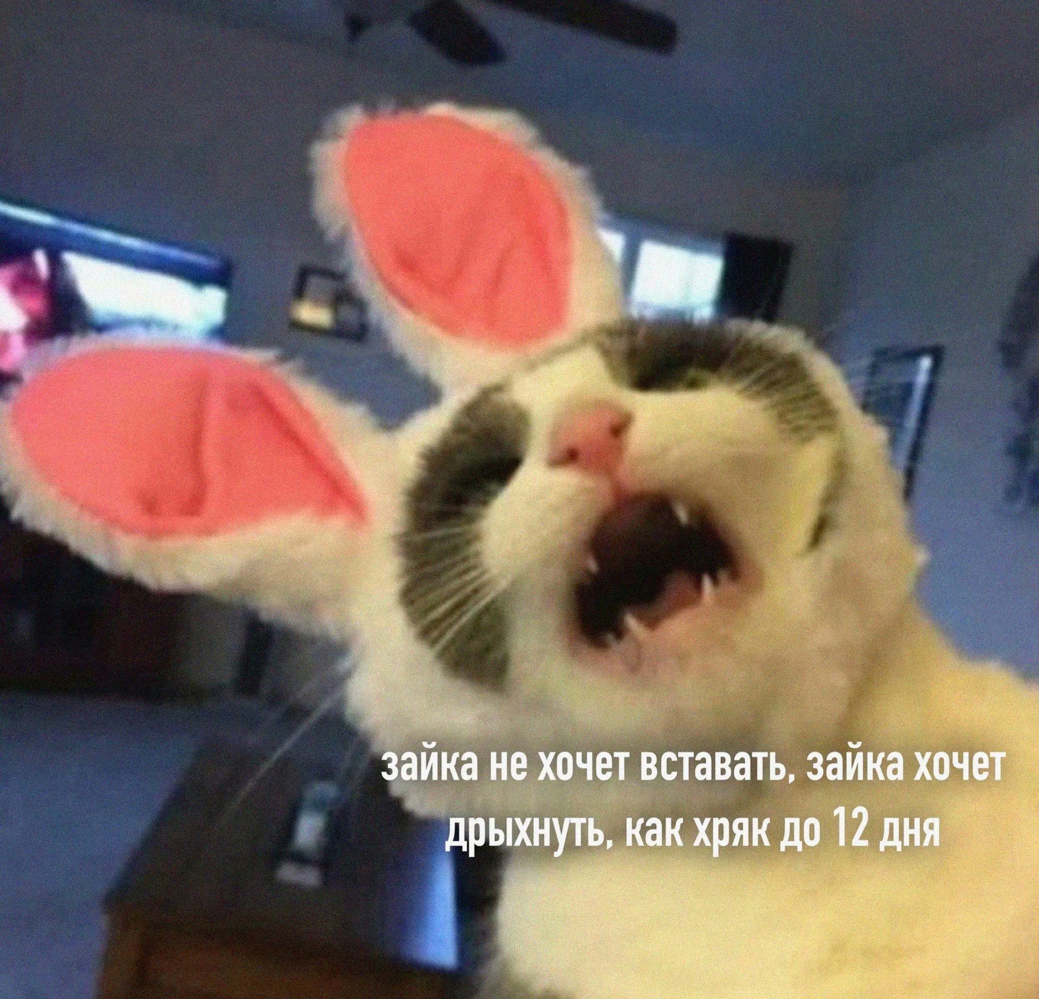 https://upforme.ru/uploads/001b/6d/1f/5/698577.jpg