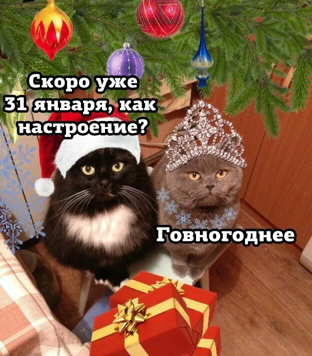 https://upforme.ru/uploads/001b/6d/1f/5/749973.jpg