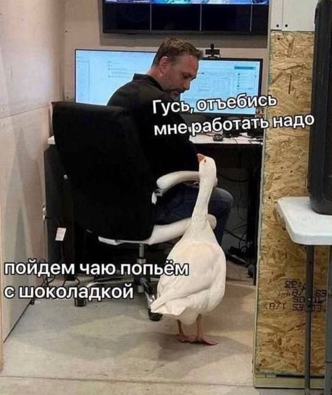 https://upforme.ru/uploads/001b/6d/1f/5/885371.jpg