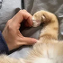 https://upforme.ru/uploads/001b/6f/ae/2/363870.png