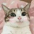 https://upforme.ru/uploads/001b/6f/ae/2/411332.png
