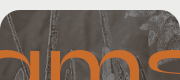 https://upforme.ru/uploads/001b/6f/ae/3/689203.png