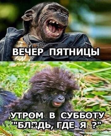 https://upforme.ru/uploads/001b/70/a8/2/t236409.jpg