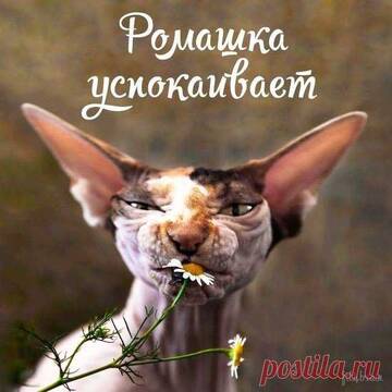 https://upforme.ru/uploads/001b/70/a8/2/t391871.jpg