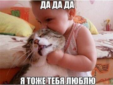 https://upforme.ru/uploads/001b/70/a8/2/t756731.jpg