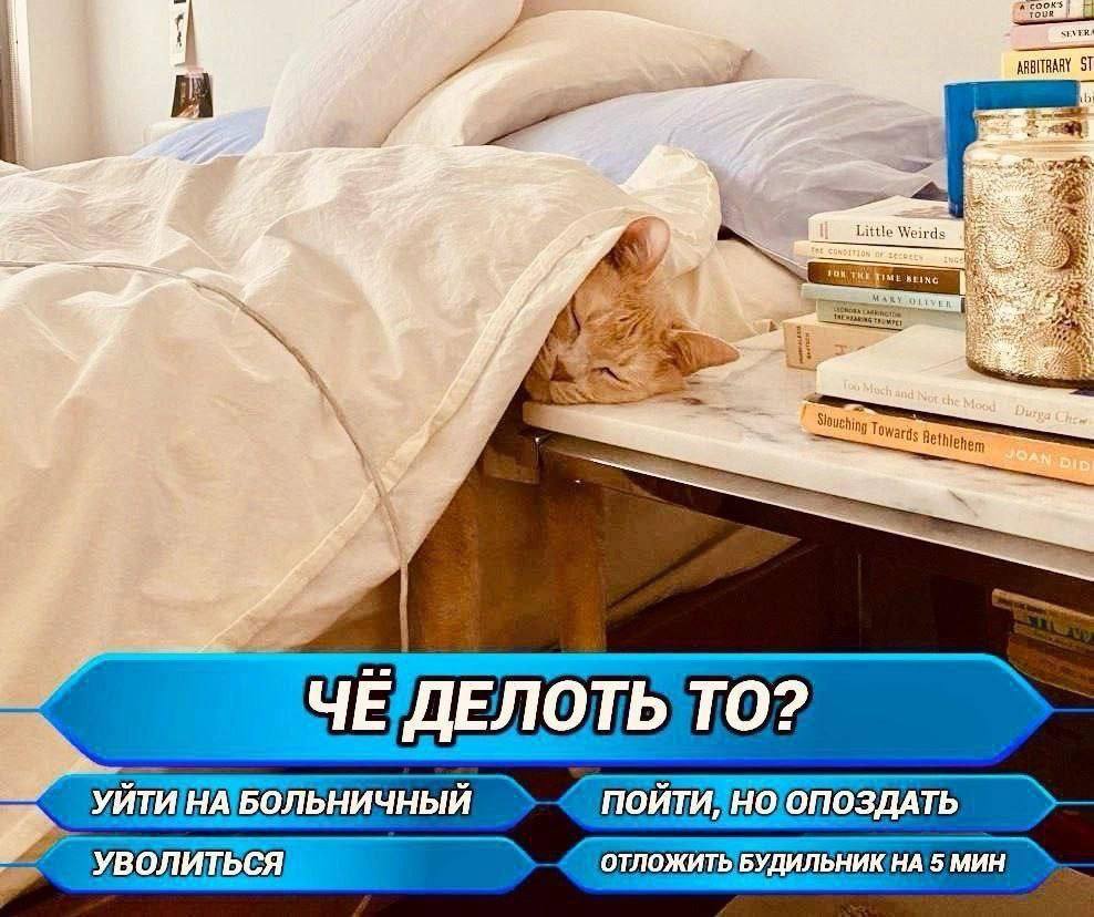 https://upforme.ru/uploads/001b/70/af/1075/726894.jpg