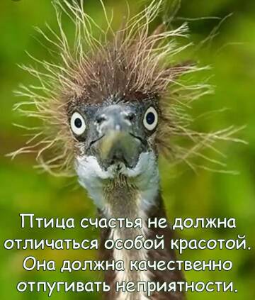 https://upforme.ru/uploads/001b/70/af/1085/t697980.jpg