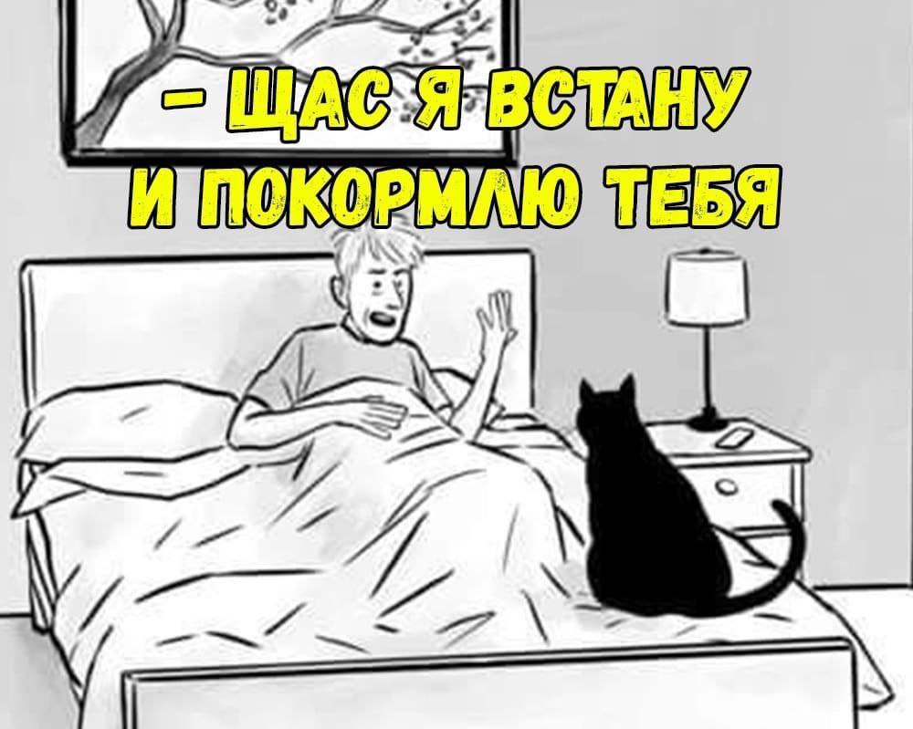 https://upforme.ru/uploads/001b/70/af/458/145647.jpg