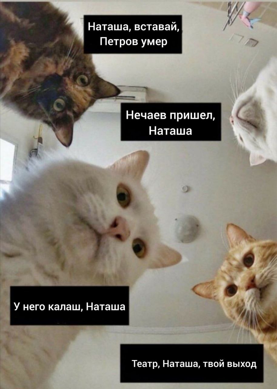 https://upforme.ru/uploads/001b/70/af/458/581759.jpg