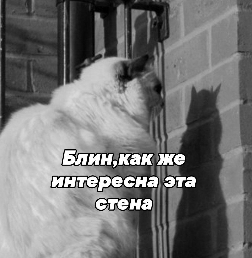 https://upforme.ru/uploads/001b/70/af/458/816535.jpg