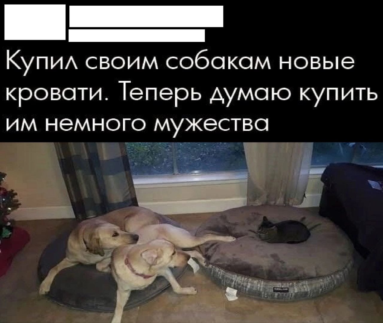 https://upforme.ru/uploads/001b/70/af/458/904431.jpg