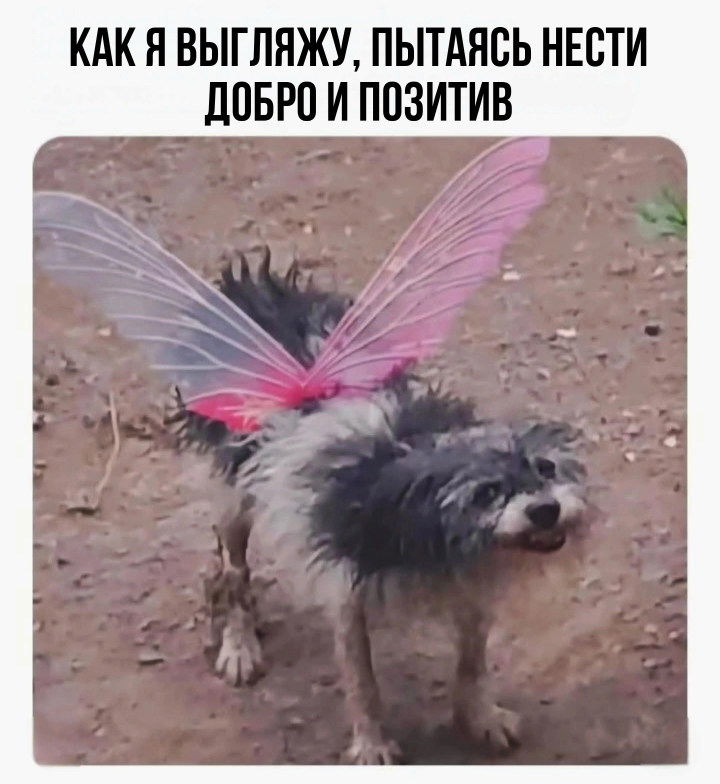 https://upforme.ru/uploads/001b/70/af/703/289984.png