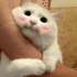https://upforme.ru/uploads/001b/71/f6/6/893751.png