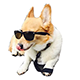 https://upforme.ru/uploads/001b/71/f6/6/t111406.png