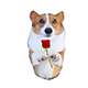 https://upforme.ru/uploads/001b/71/f6/6/t576469.png
