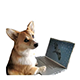 https://upforme.ru/uploads/001b/71/f6/6/t685663.png