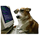 https://upforme.ru/uploads/001b/71/f6/6/t787504.png