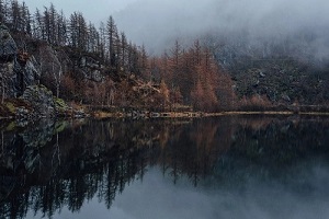 https://upforme.ru/uploads/001b/73/95/17/871163.jpg