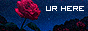 https://upforme.ru/uploads/001b/75/68/2/441482.gif