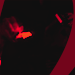 https://upforme.ru/uploads/001b/76/4d/2/188479.gif