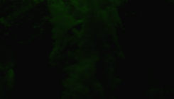 https://upforme.ru/uploads/001b/78/50/85/177850.gif