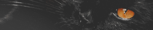 https://upforme.ru/uploads/001b/79/90/2/152598.png