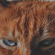 https://upforme.ru/uploads/001b/79/90/2/166842.png