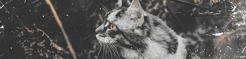 https://upforme.ru/uploads/001b/79/90/2/199354.png
