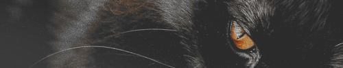https://upforme.ru/uploads/001b/79/90/2/30912.png