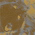 https://upforme.ru/uploads/001b/79/90/2/668181.png