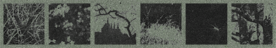 https://upforme.ru/uploads/001b/79/90/2/740239.png
