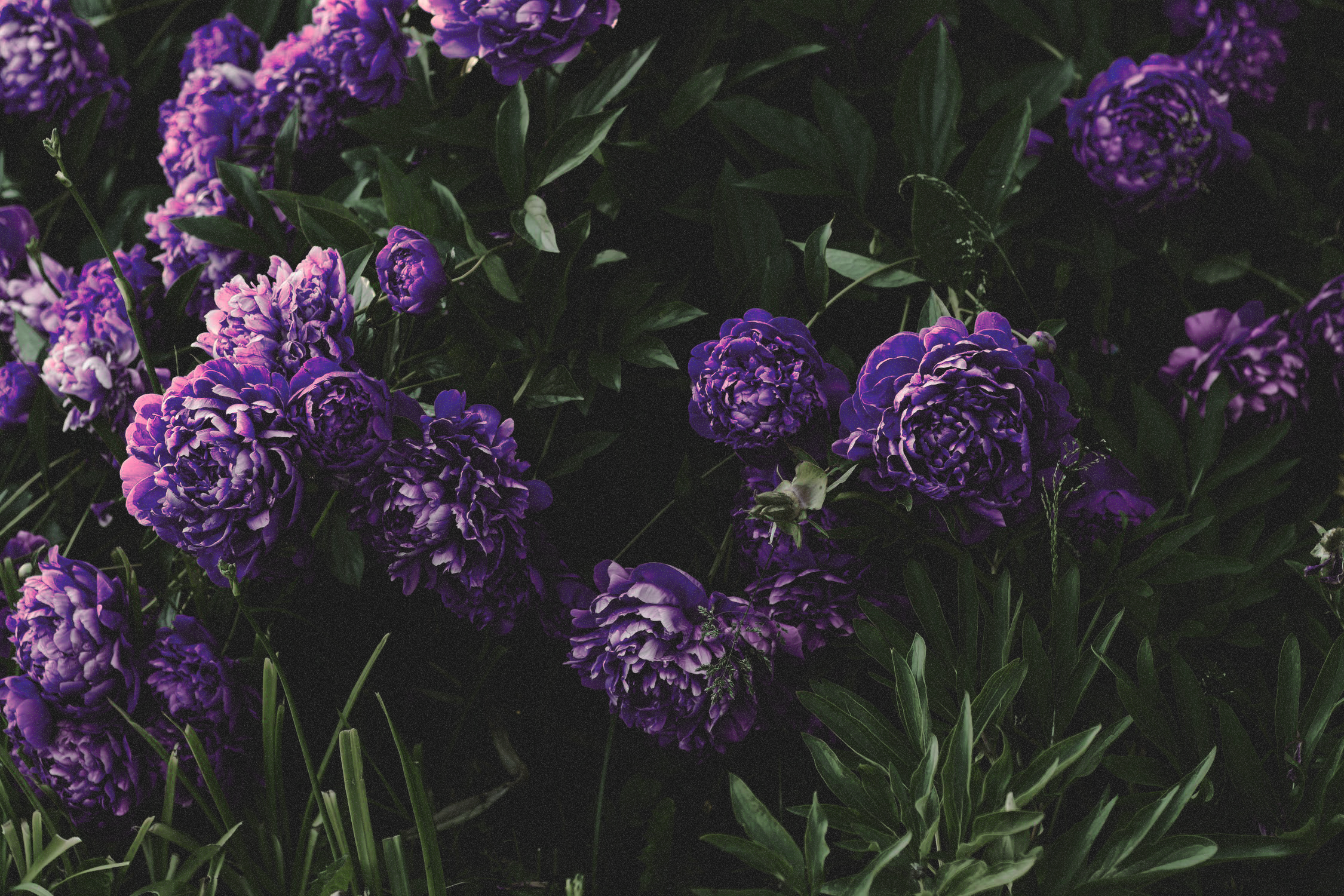 https://upforme.ru/uploads/001b/79/90/2/92931.png