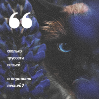 https://upforme.ru/uploads/001b/79/90/2/939831.png