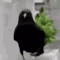 https://upforme.ru/uploads/001b/79/b8/2/749105.gif