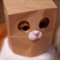 https://upforme.ru/uploads/001b/79/b8/94/249248.png