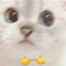https://upforme.ru/uploads/001b/79/b8/94/25828.png