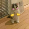 https://upforme.ru/uploads/001b/79/b8/94/387267.png