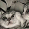 https://upforme.ru/uploads/001b/79/b8/94/472213.png