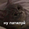 https://upforme.ru/uploads/001b/79/b8/94/473797.png