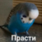 https://upforme.ru/uploads/001b/79/b8/94/622914.png