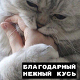 https://upforme.ru/uploads/001b/7c/28/2/160033.jpg