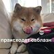 https://upforme.ru/uploads/001b/7c/28/2/340166.jpg