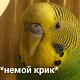https://upforme.ru/uploads/001b/7c/28/2/430842.jpg