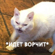 https://upforme.ru/uploads/001b/7c/28/2/613865.jpg