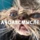 https://upforme.ru/uploads/001b/7c/28/2/673430.jpg