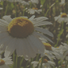 https://upforme.ru/uploads/001b/80/e3/28/52117.gif