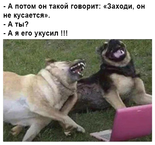 https://upforme.ru/uploads/001b/81/6a/27/701748.jpg